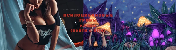 mdpv Касимов
