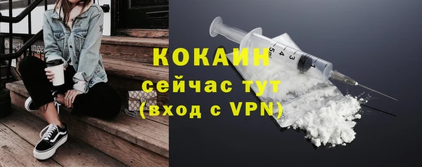 spice Каменка