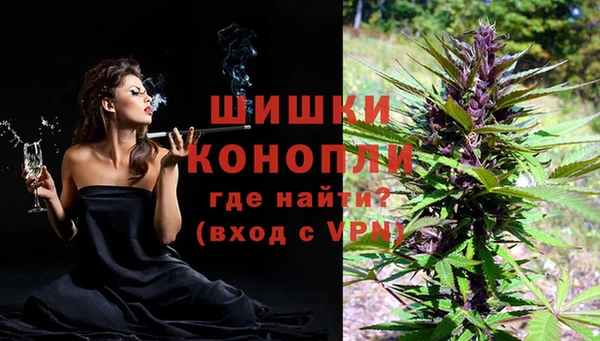 spice Каменка