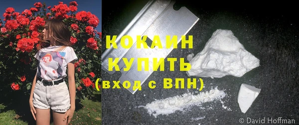 spice Каменка