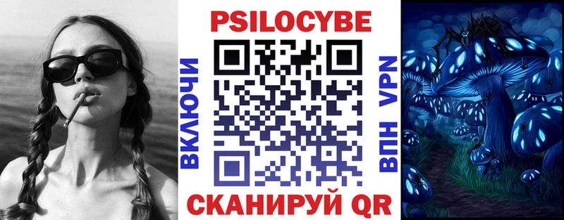 Галлюциногенные грибы мицелий Рошаль
